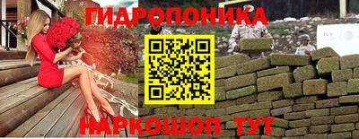 прущие крисы Малгобек